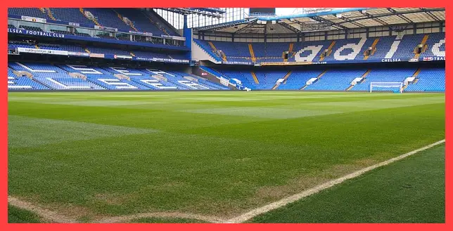 축구 중계방송 바로보기 (월드컵 3차 예선 11월) 