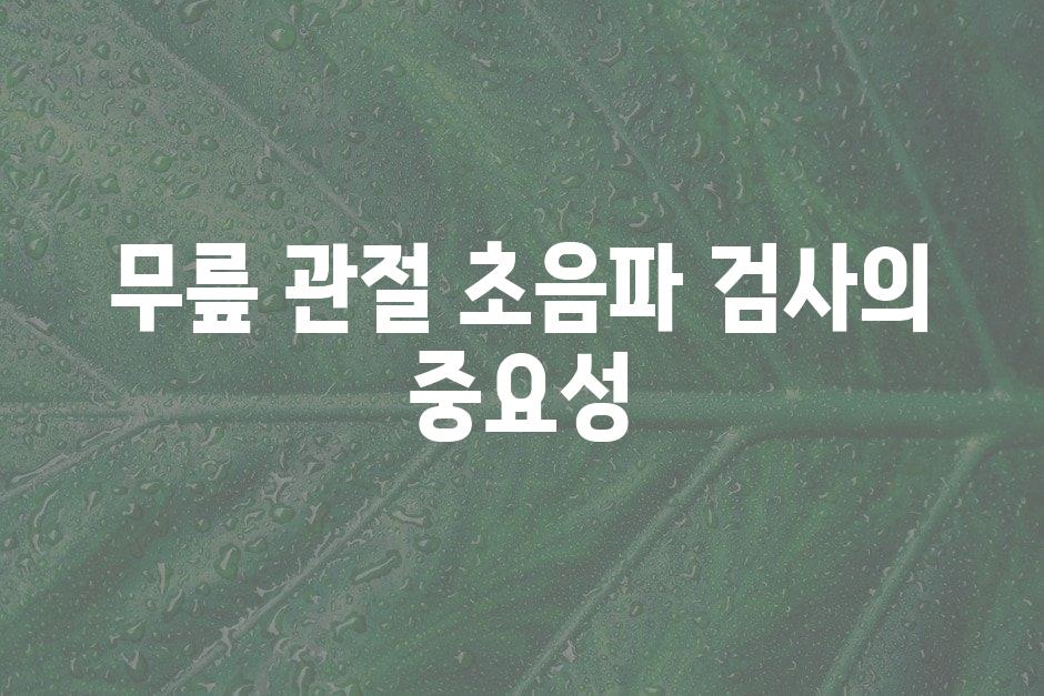 샘플 (44)