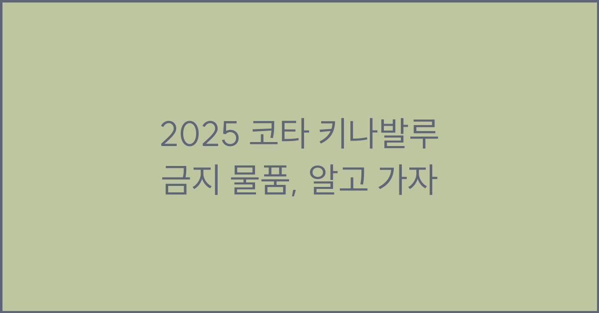 2025 코타 키나발루 금지 물품
