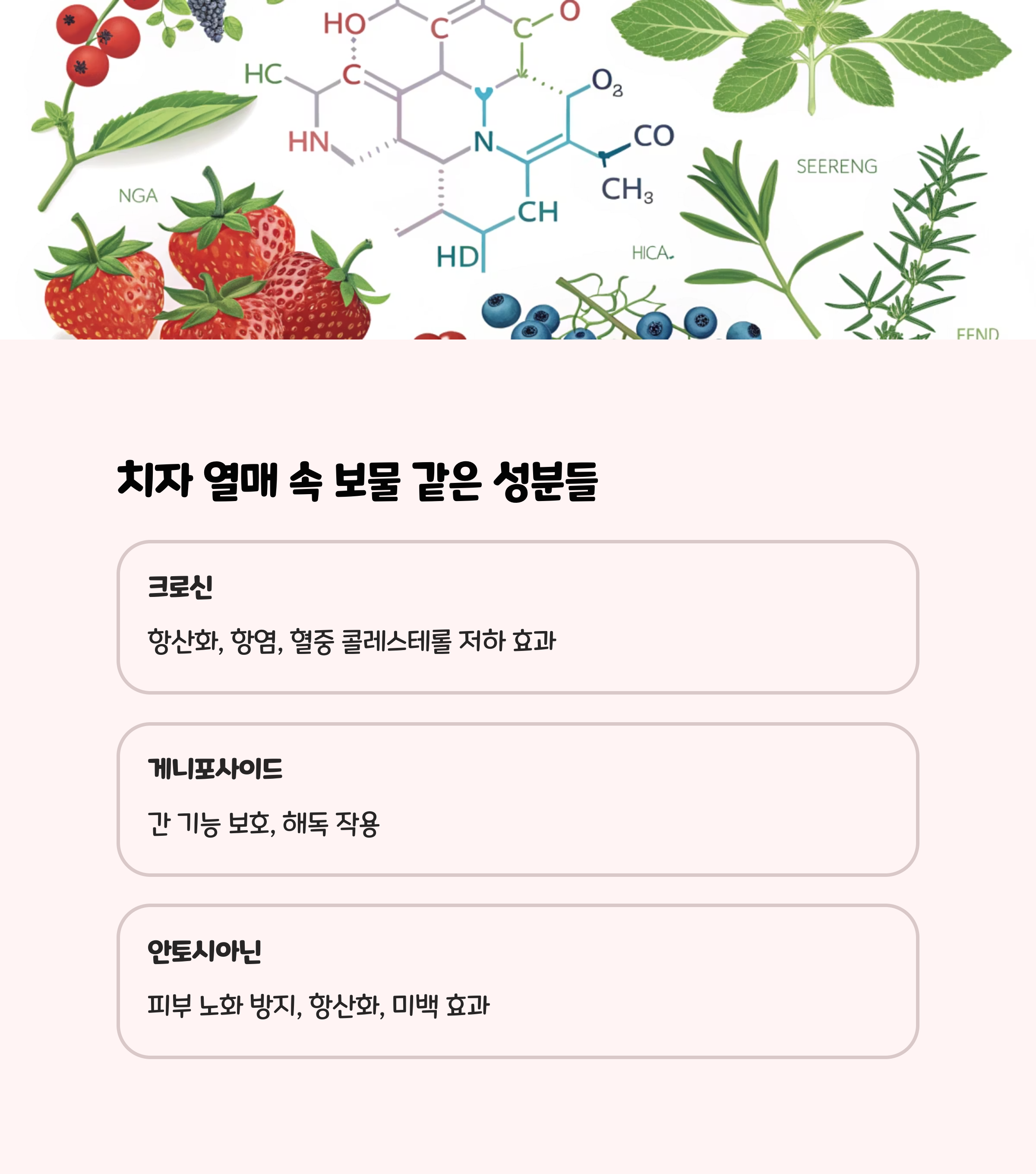 치자 열매, 어떤 성분들이 숨어있을까? 🤔