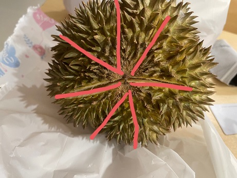 두리안 쉽게 까는 방법 설명 2