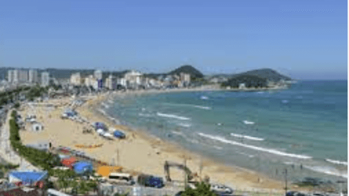 해수욕장 개장일정