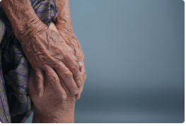 콘드로이친 효능 부작용 복용법