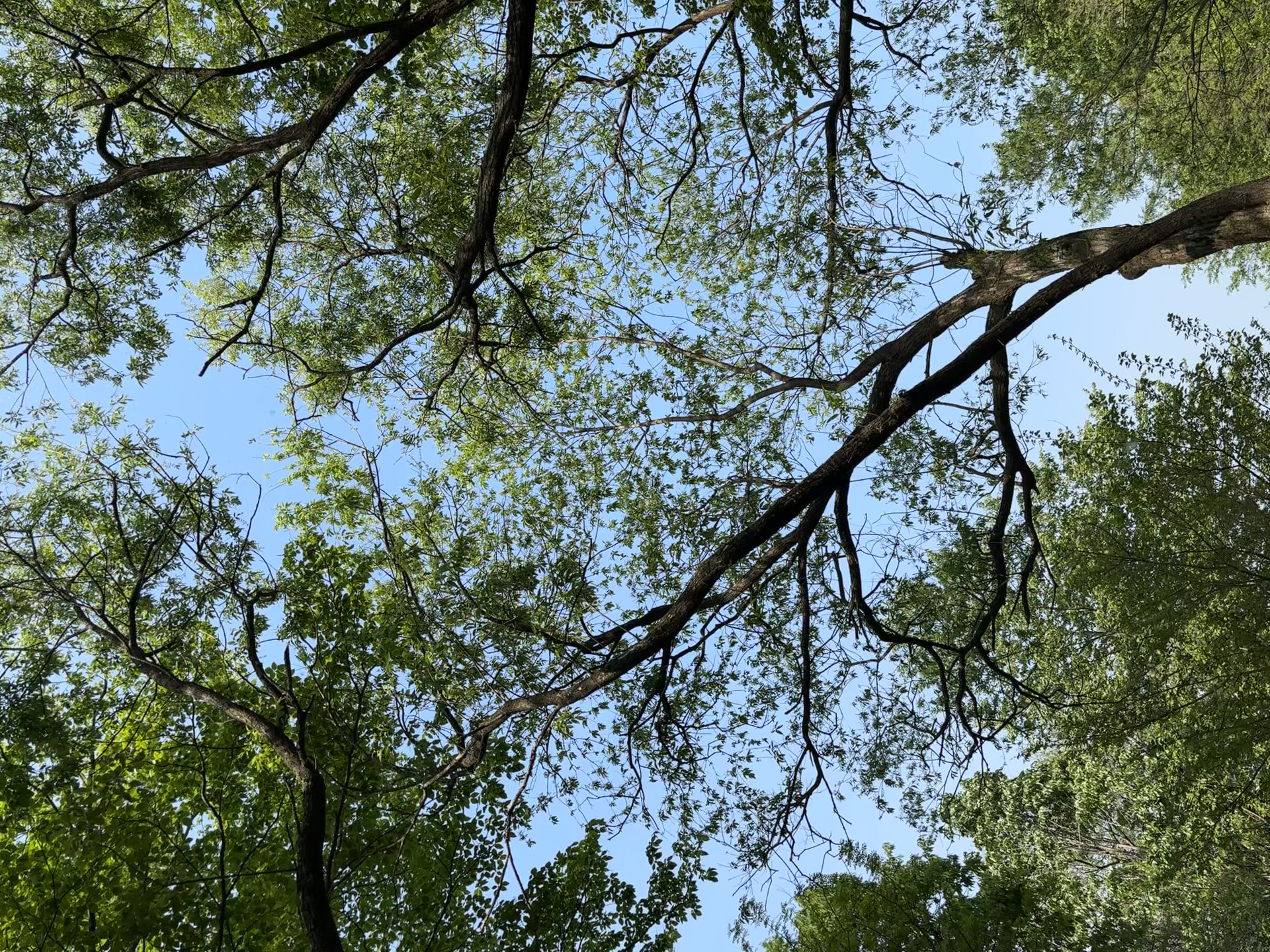 국립산림치유원 영주 숲길