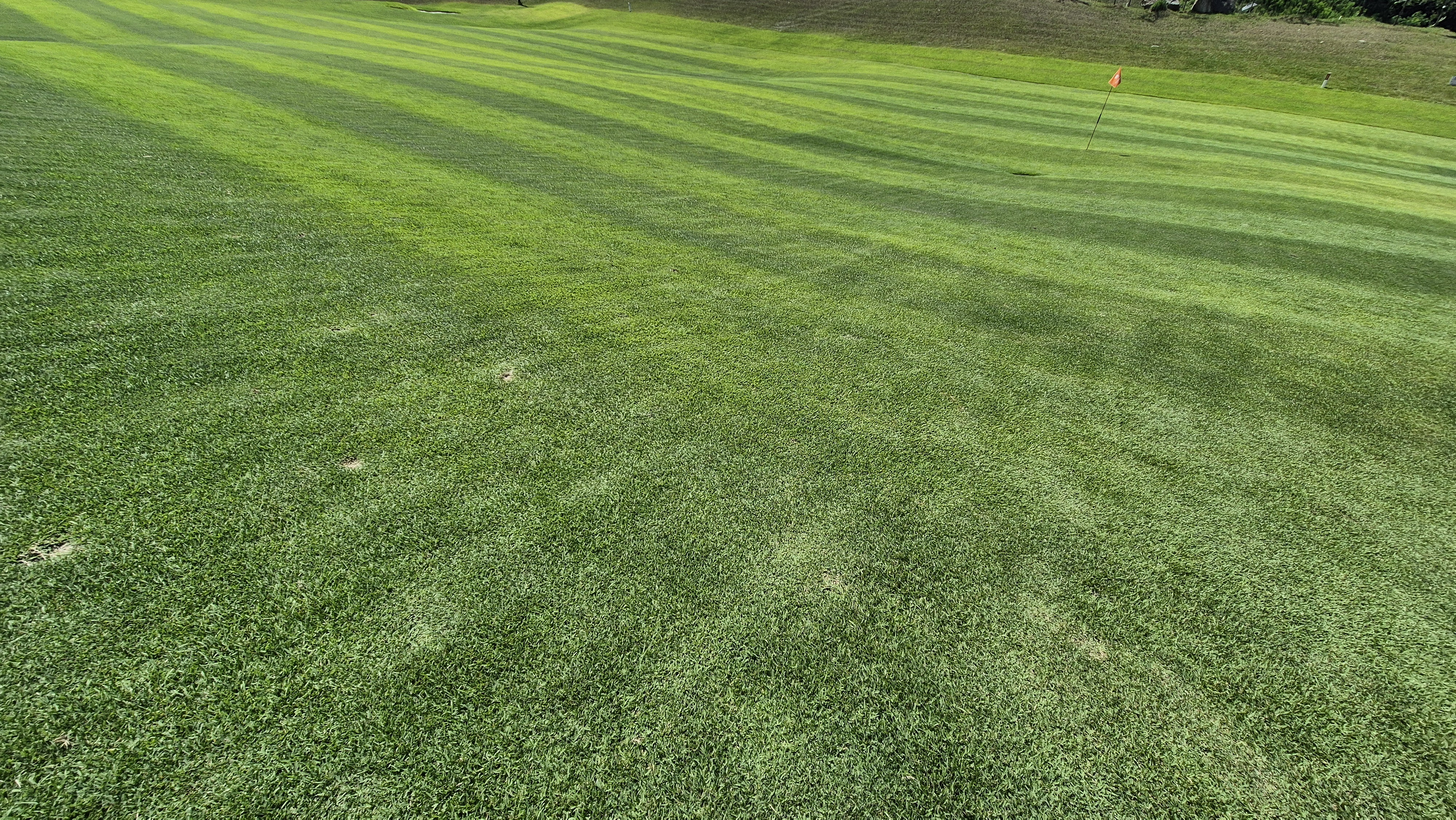 힐데스하임cc 밸리-레이크 코스 라운드 후기