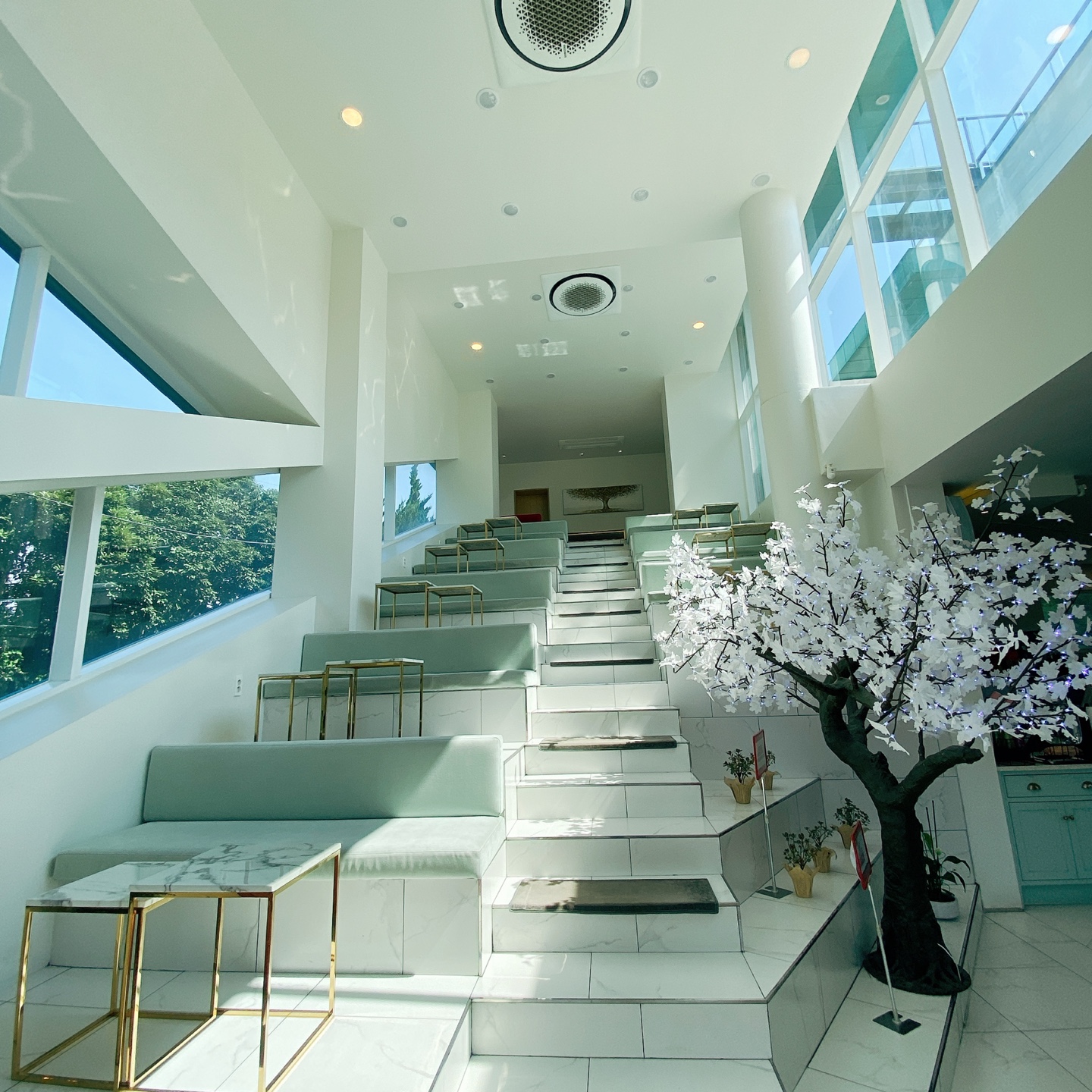 제주 서귀포 블라썸 꽃이피다 카페 인생샷 맛집