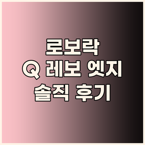 로보락 Qrevo EdgeC, 내돈내