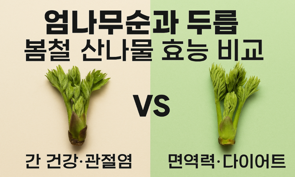 엄나물순과 두릅