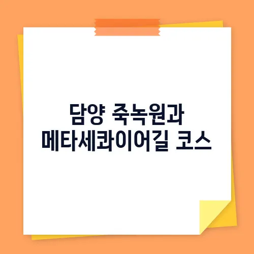 담양 죽녹원과 메타세콰이어길 코스