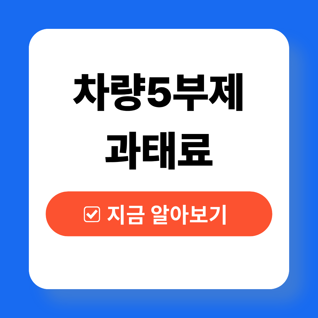 차량 5부제 과태료, 위반 시 벌금과 기준 총정리