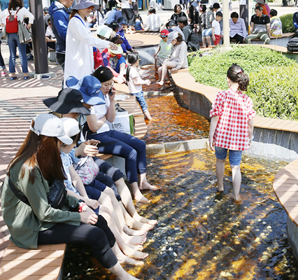보성 다향대축제 보성 녹차축제