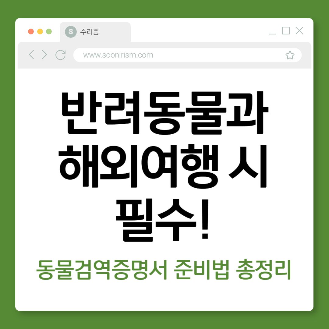 반려동물과 해외여행 시 필수! 동물검역증명서 준비법 총정리