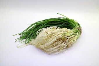 달래 효능 부작용