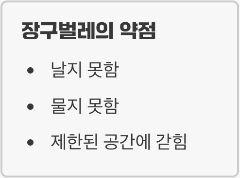 3. 날기 전이 박멸 골든타임