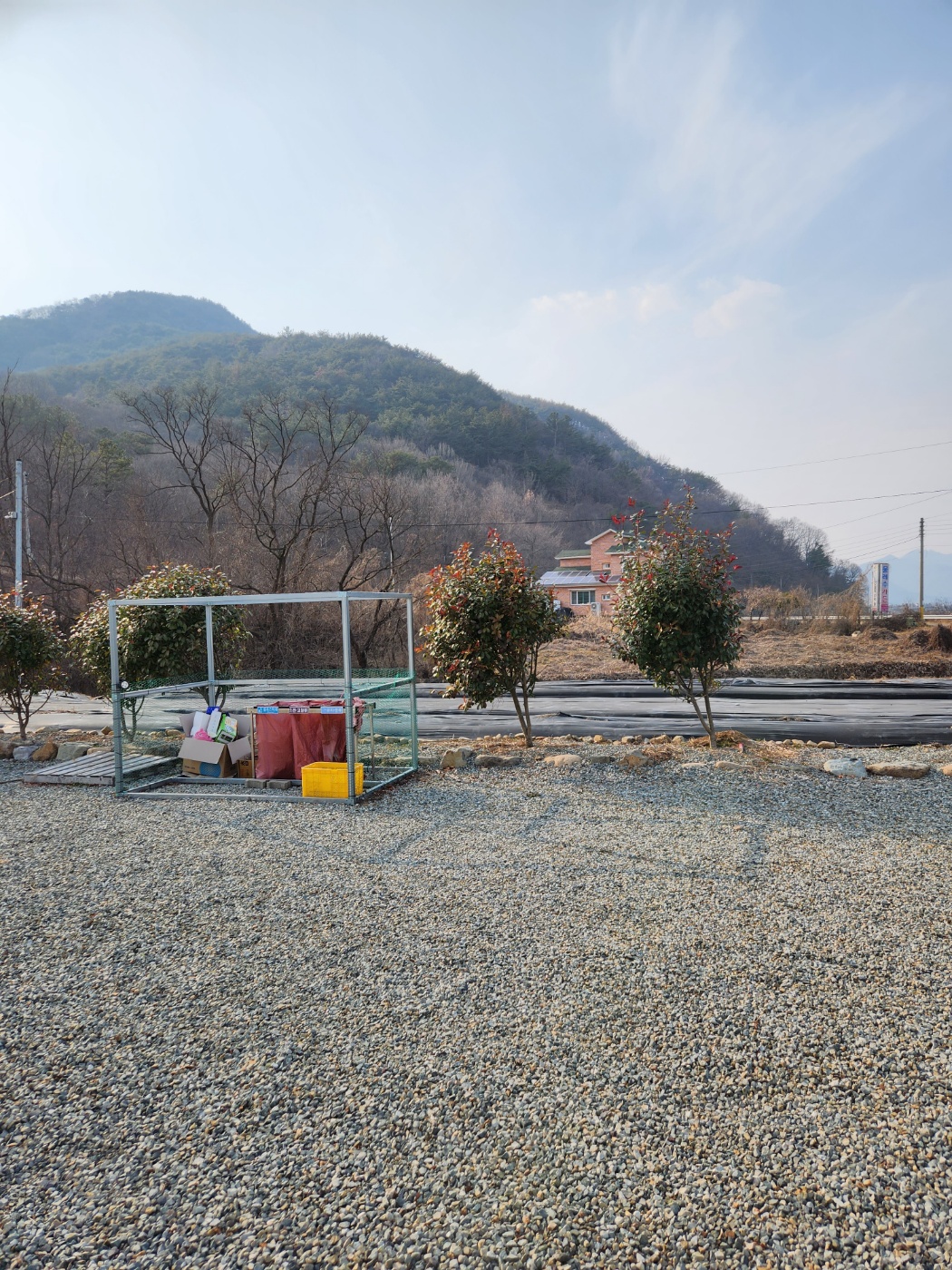 엠와이 힐링 캠핑장