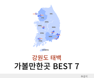 태백 가볼만한곳