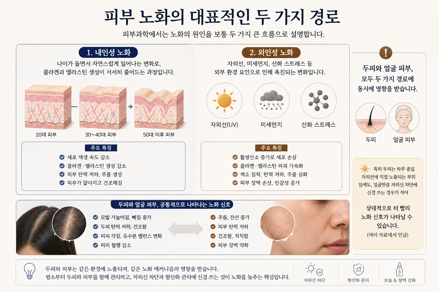 피부 노화의 대표적인 두 가지 경로