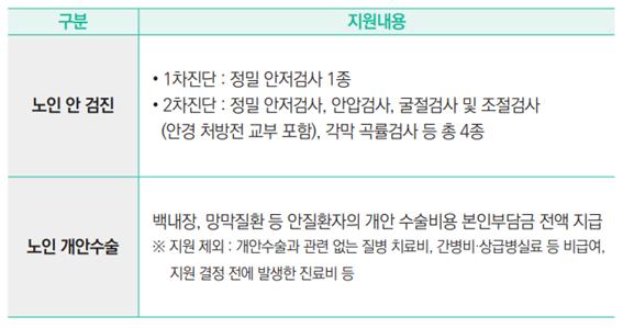 만 65세 이상 노인 지원금 건강 및 의료비 혜택 모음