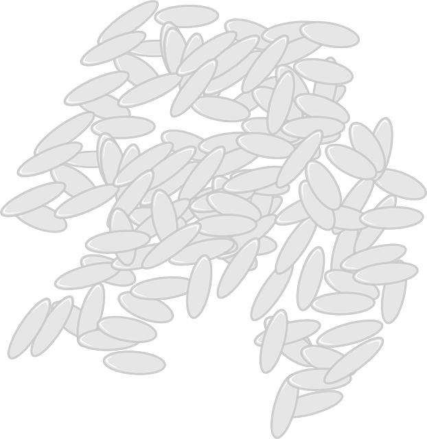 카무트 효소 효능