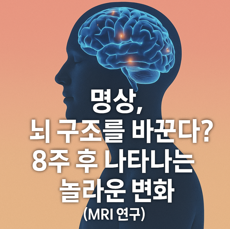 명상, 뇌 구조를 바꾼다? 8주 후 나타나는 놀라운 변화 (MRI 연구)