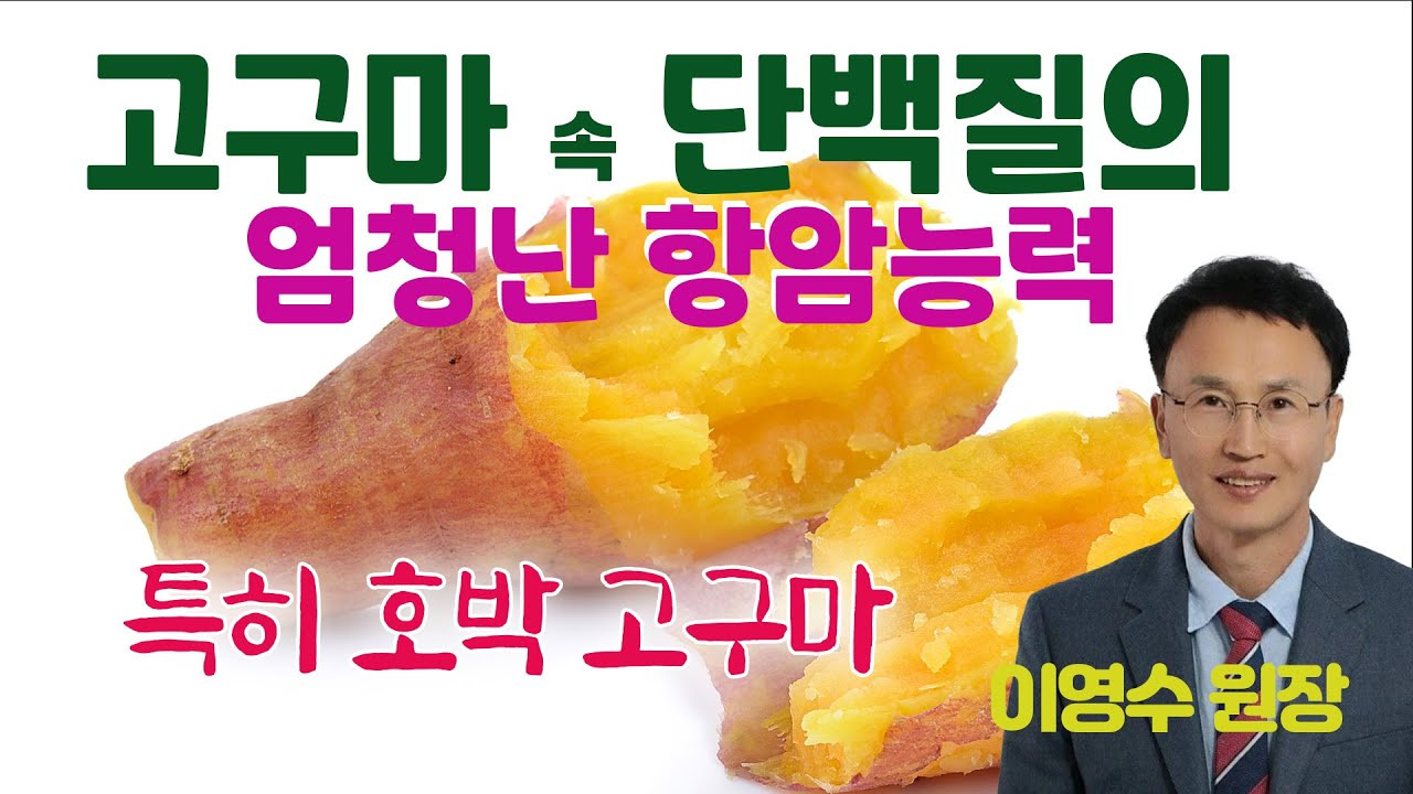 호박고구마 효능과 부작용