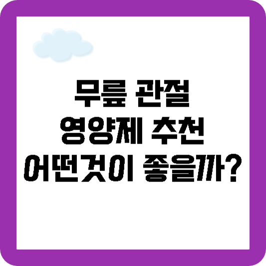 무릎 관절 영양제