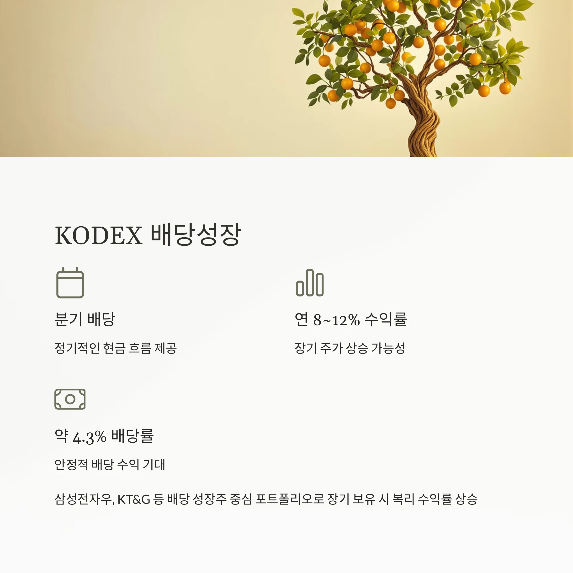 고배당 ETF TOP 3: 국내외 수익률·배당률