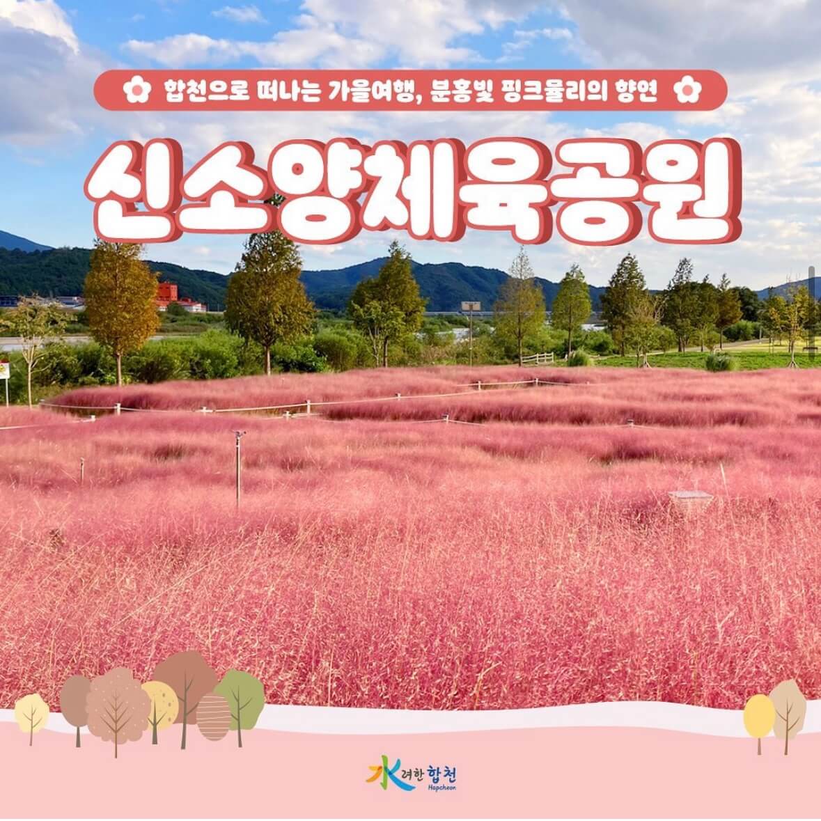 신소양 체육공원의 핑크뮬리