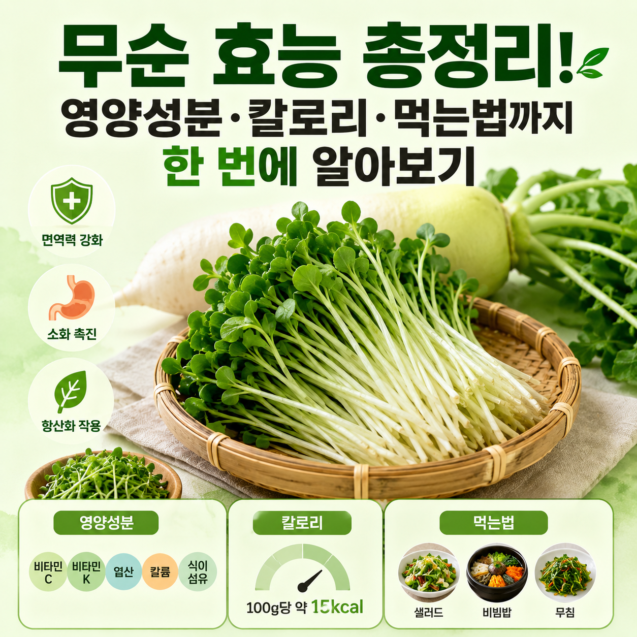 무순 효능