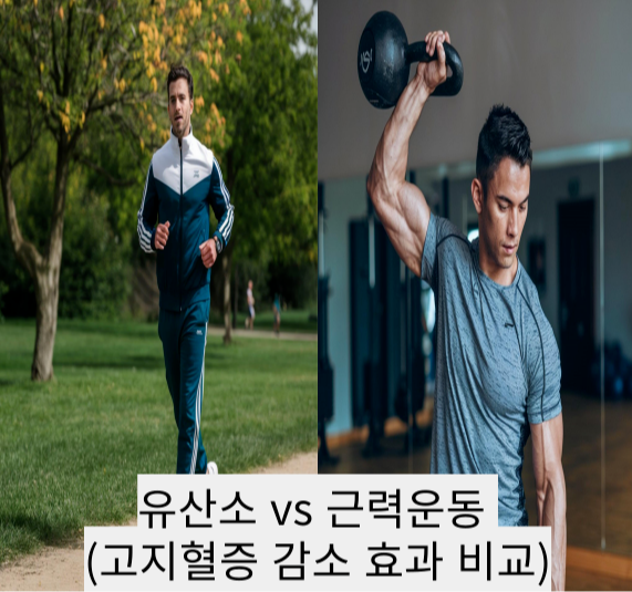 유산소 vs 근력운동 (고지혈증 감소 효과 비교)