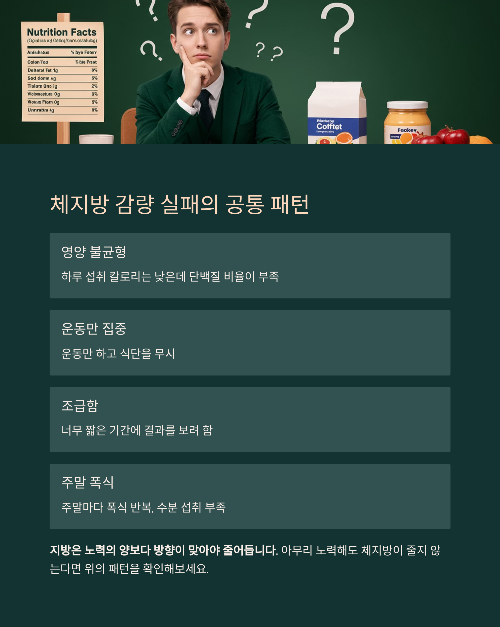 체지방 줄이는 가장 현실적인 방법: 실패 없는 습관 루틴 공개