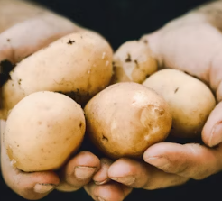 위염에 좋은 음식 영양제 식단