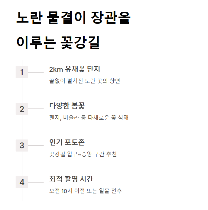 2025 화순 남산공원 봄꽃축제