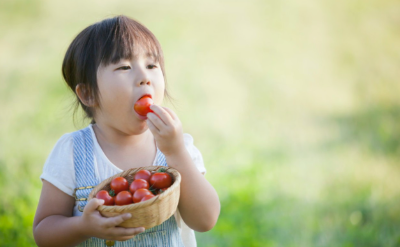 방울토마토를 먹는 아이