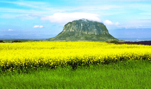 제주도 렌트카 추천