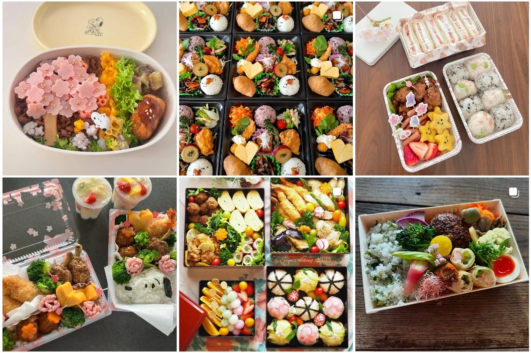 인기많은-일본-벚꽃도시락