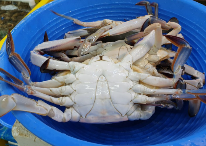 소래포구 숫꽃게