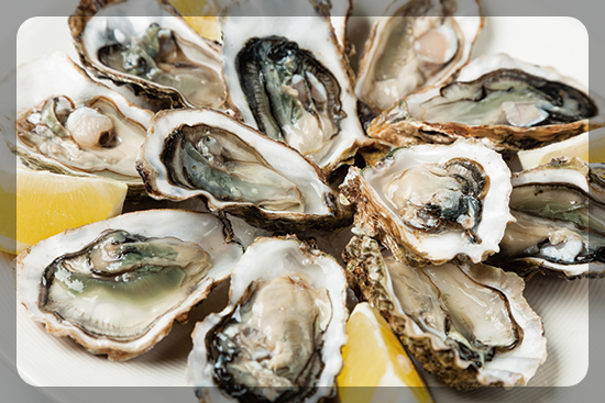 12월 제철 해산물