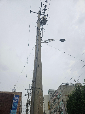 통신주와 전력주의 차이점, 한눈에 구별하는 방법