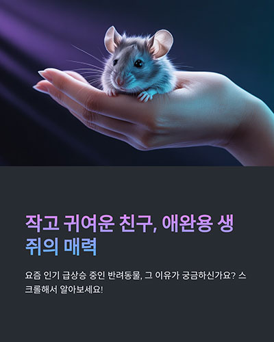 인기인 이유는 무엇인가요?