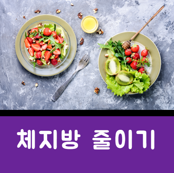 체지방 줄이는법