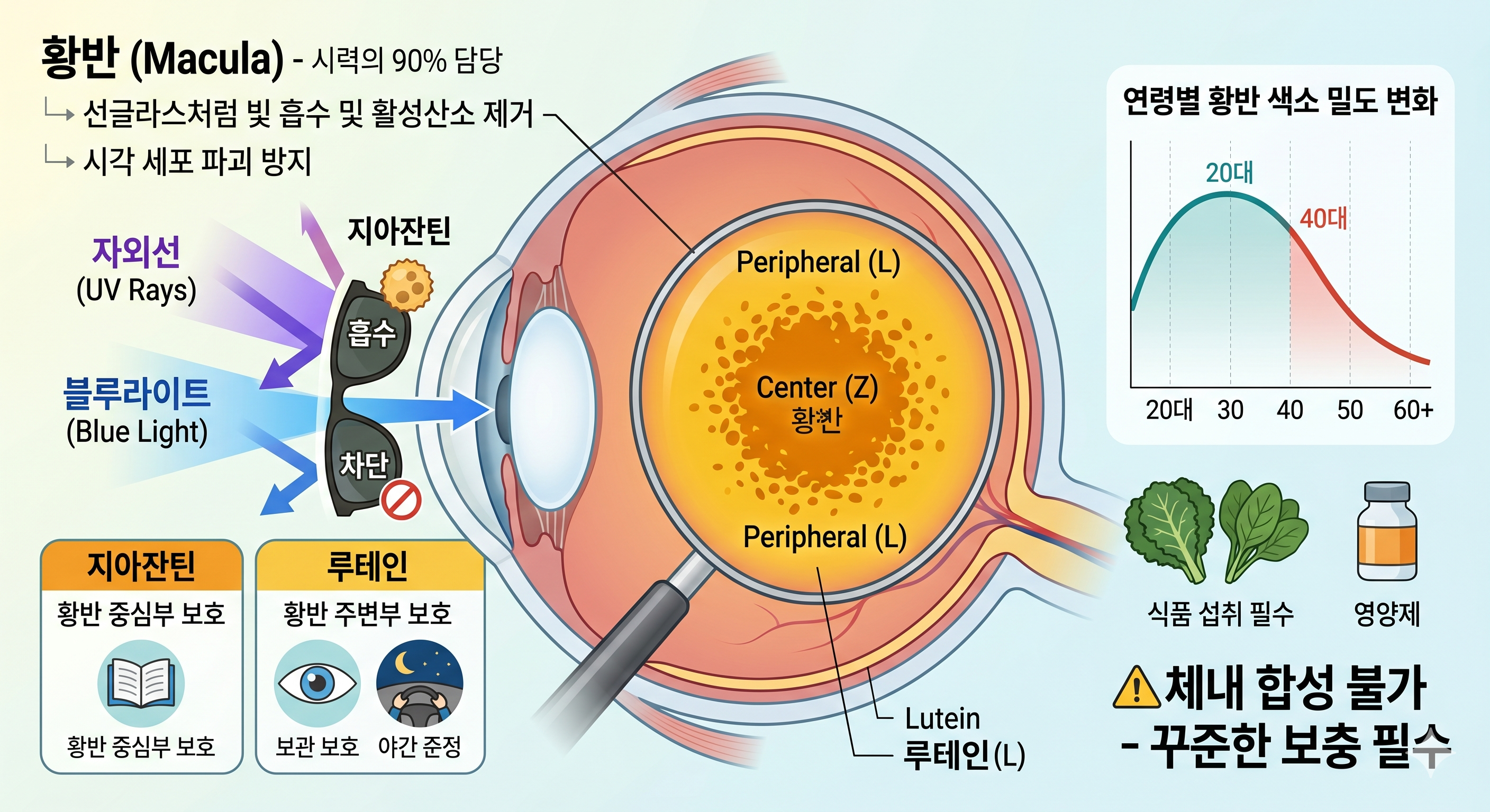 루테인 지아잔틴이란?