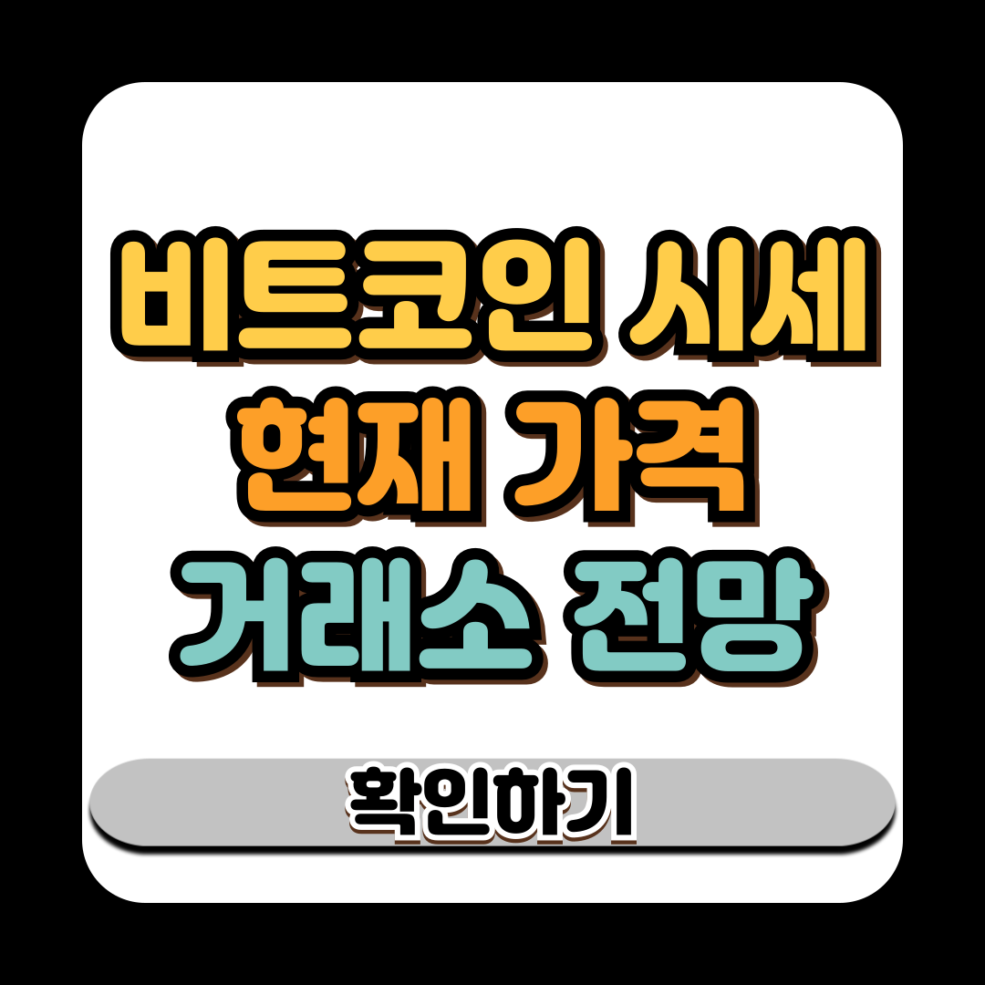 비트코인 시세 현재 가격 거래소 전망