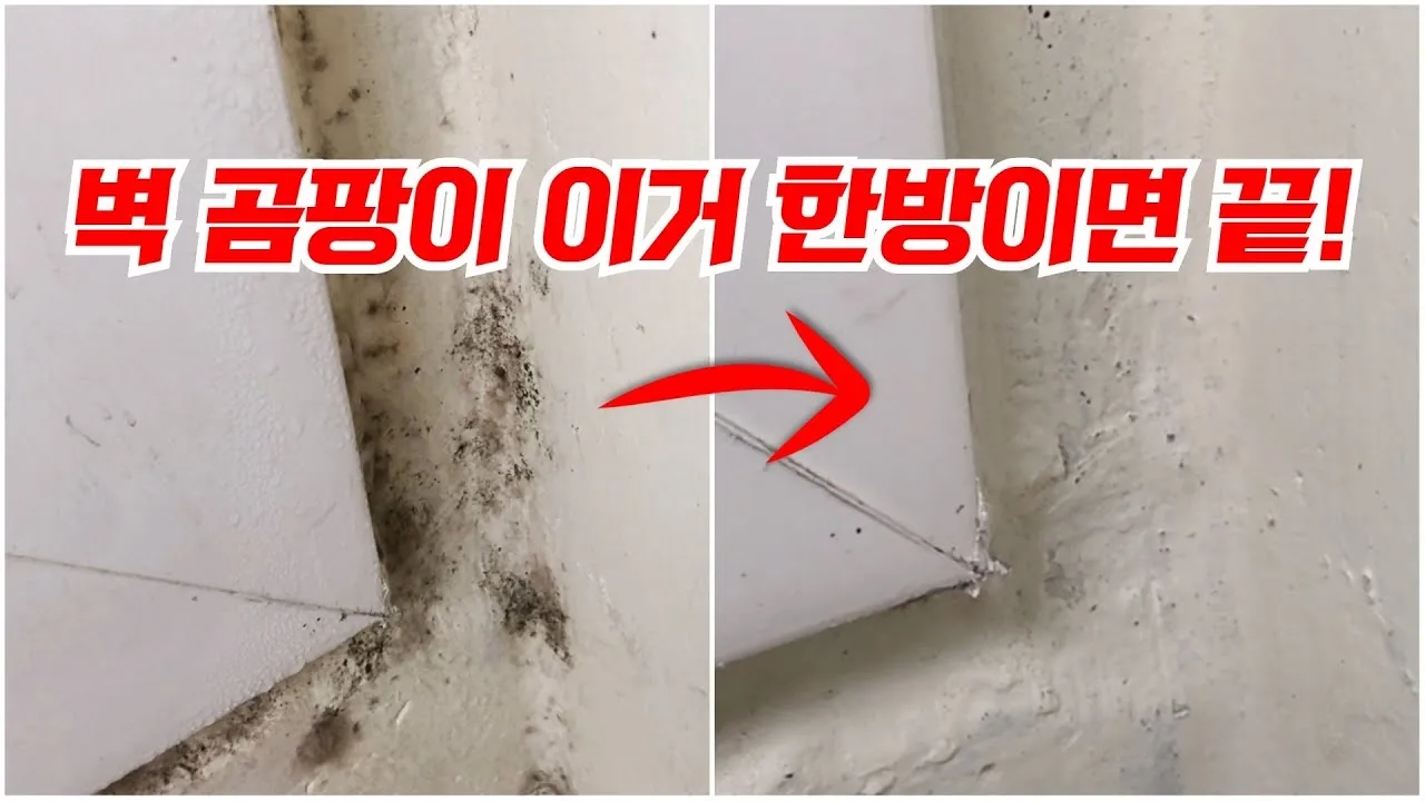 곰팡이 제거 방법 방지 페인트 냄새 없애기_1
