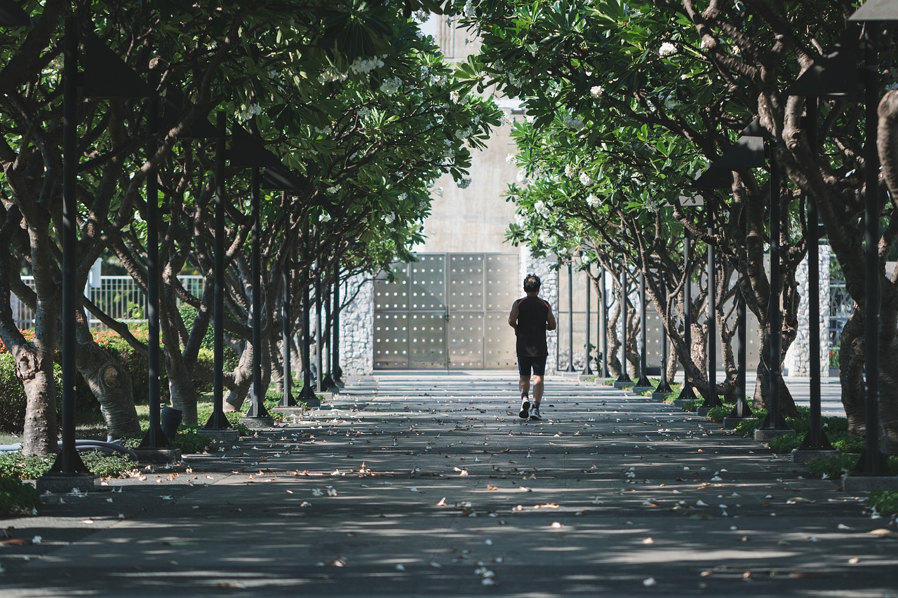 공원 사진