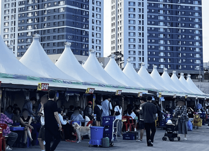 속초 오징어난전