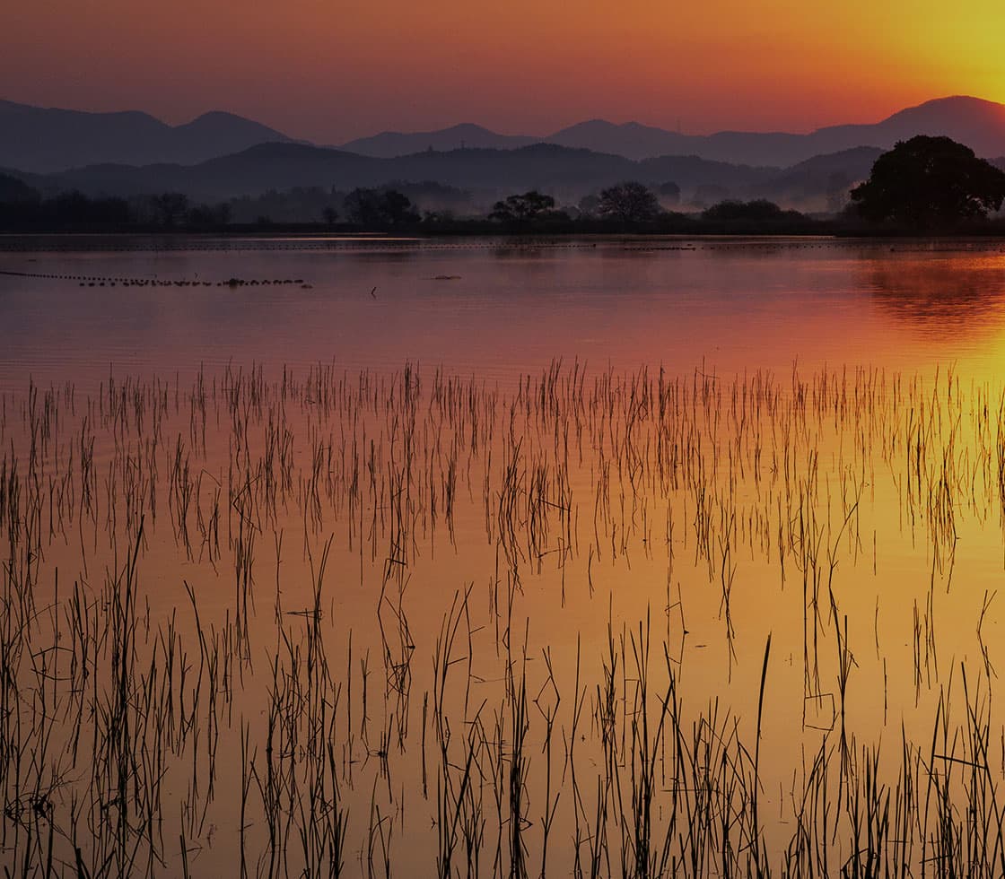 경남 창녕군 우포늪, 우포생태관, 우포출렁다리