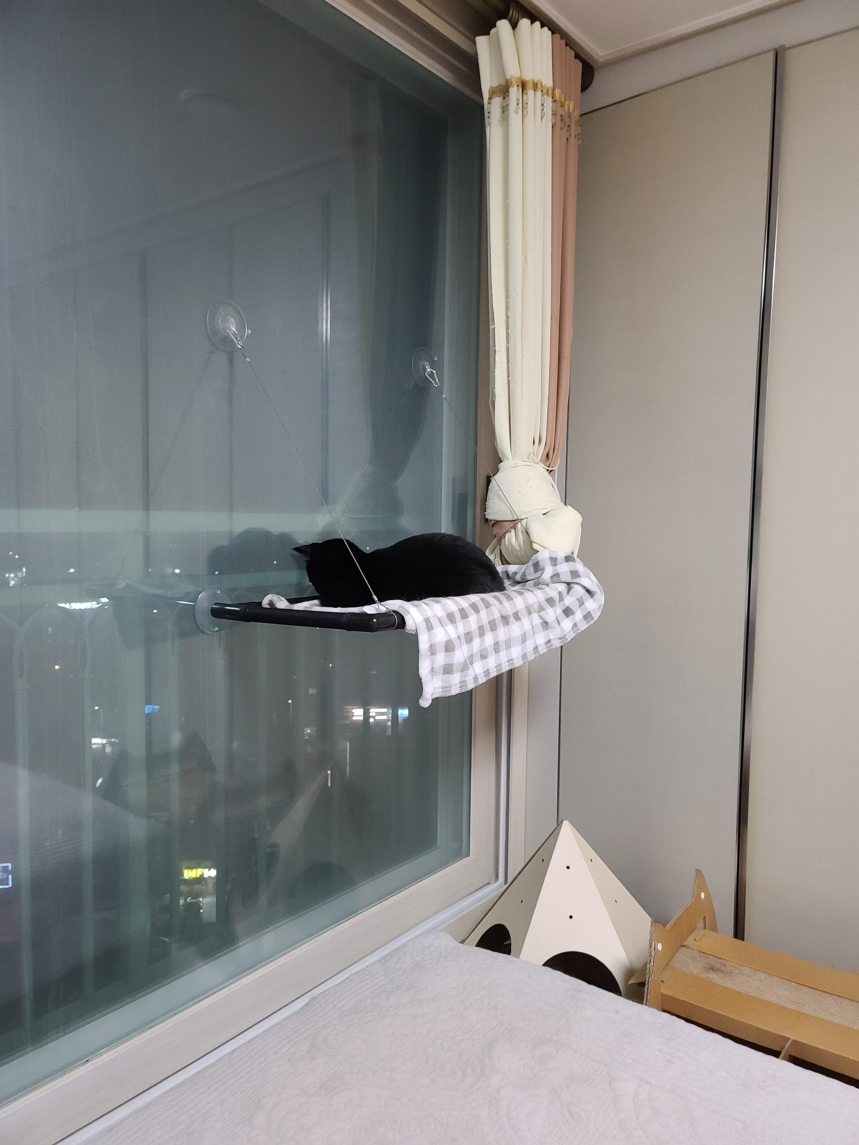 집사의 포커페이스의 중요성(feat. 창밖보는 멋쟁이 건이)