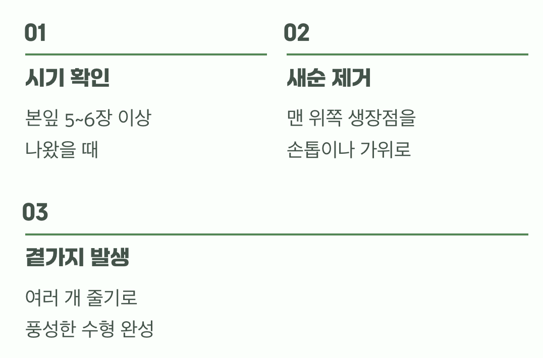 풍성함의 마법&amp;#44; 순지르기