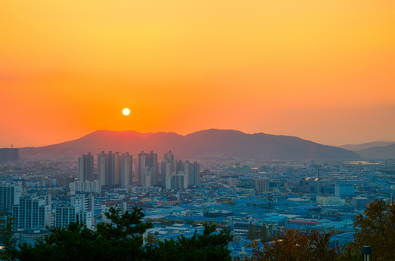 침산정 저녁노을